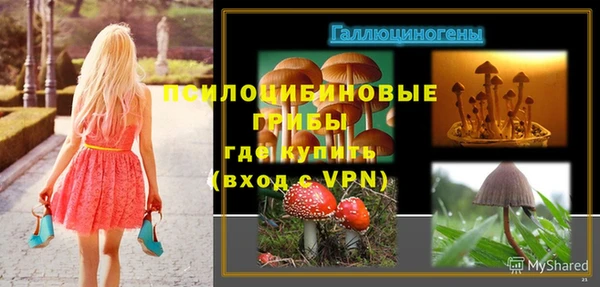 spice Абинск