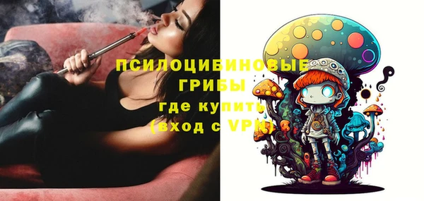 дурь Алзамай
