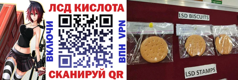 где продают   Щёлково  Марки N-bome 1500мкг 